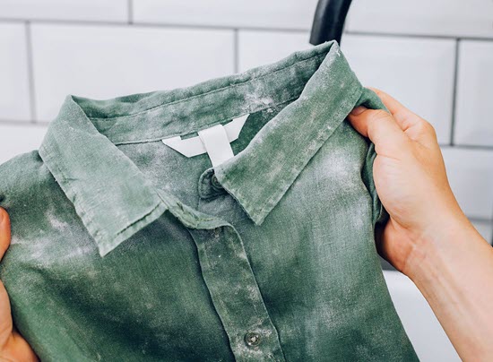 how to remove mold from your clothes