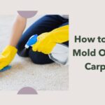 learn how to get mold out of carpet